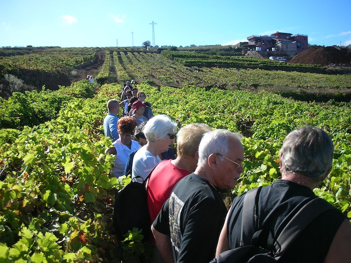 Excursion Guided tour + wine tasting at the bodegas monje winery