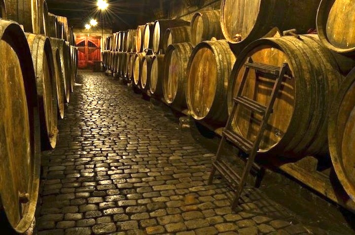 Escursione Guided tour + wine tasting at the bodegas monje winery