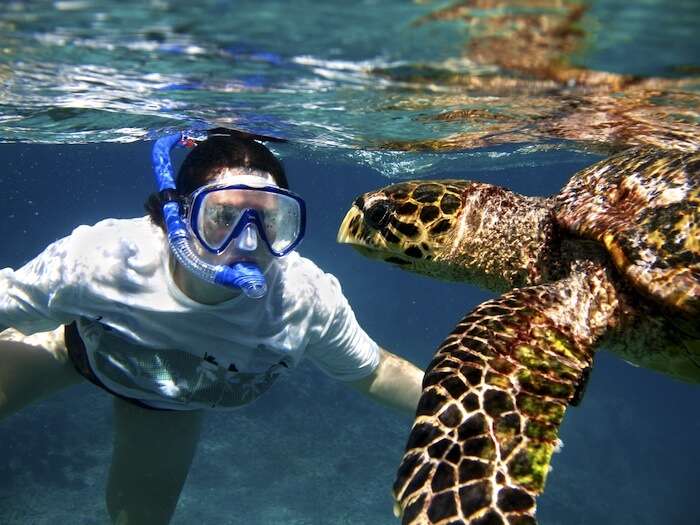 Ausflug Swimming & snorkeling with turtles