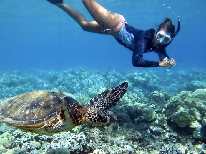 Экскурсия Swimming & snorkeling with turtles