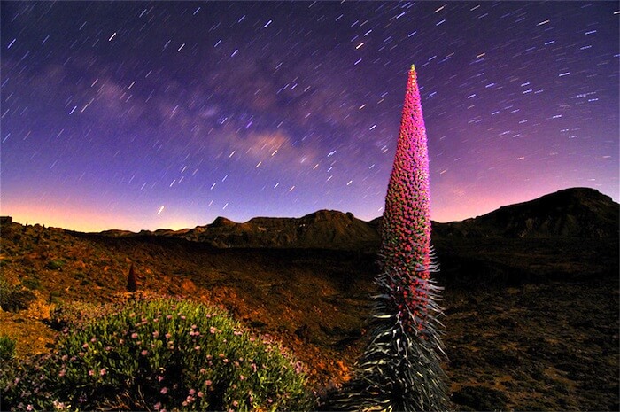 Escursione Osservarzione notturna delle stelle nel parco nazionale del teide